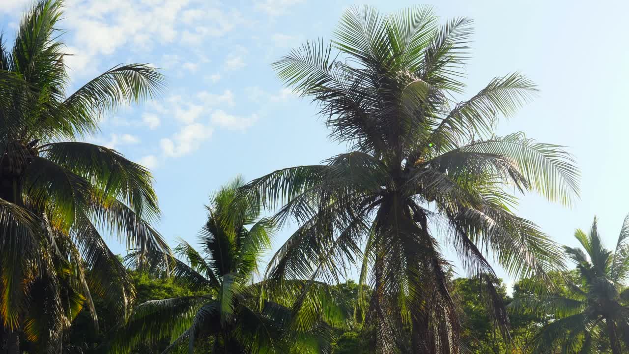 美丽的热带海滩，棕榈树环绕。假期和度假概念视频素材