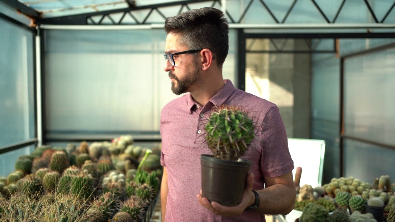 温室花园内，穿着便衣的男子手持仙人掌植物视频素材