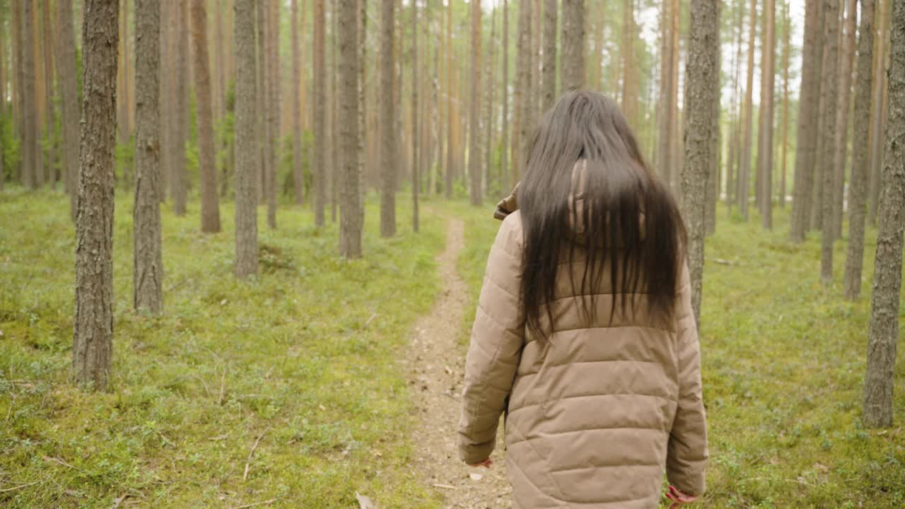 一个穿牛仔裤的女孩走过秋天的针叶林。后视图。视频素材