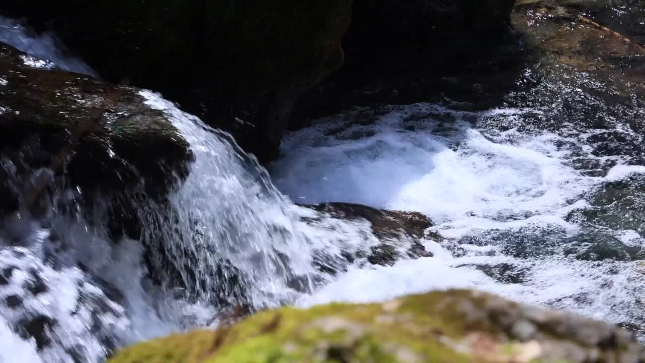 长满青苔的岩石和溪水纯净的潺潺声视频素材