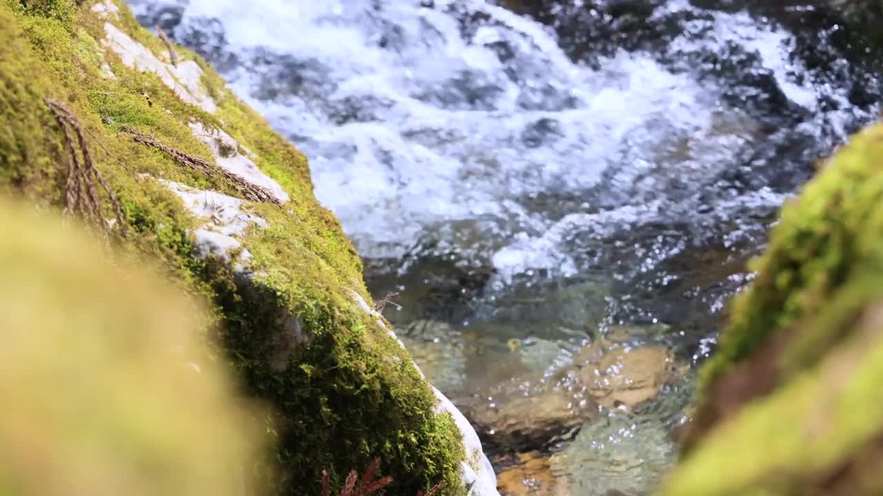 长满青苔的岩石和溪水纯净的潺潺声视频素材