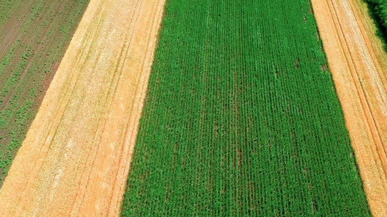 夏季耕地鸟瞰图视频素材