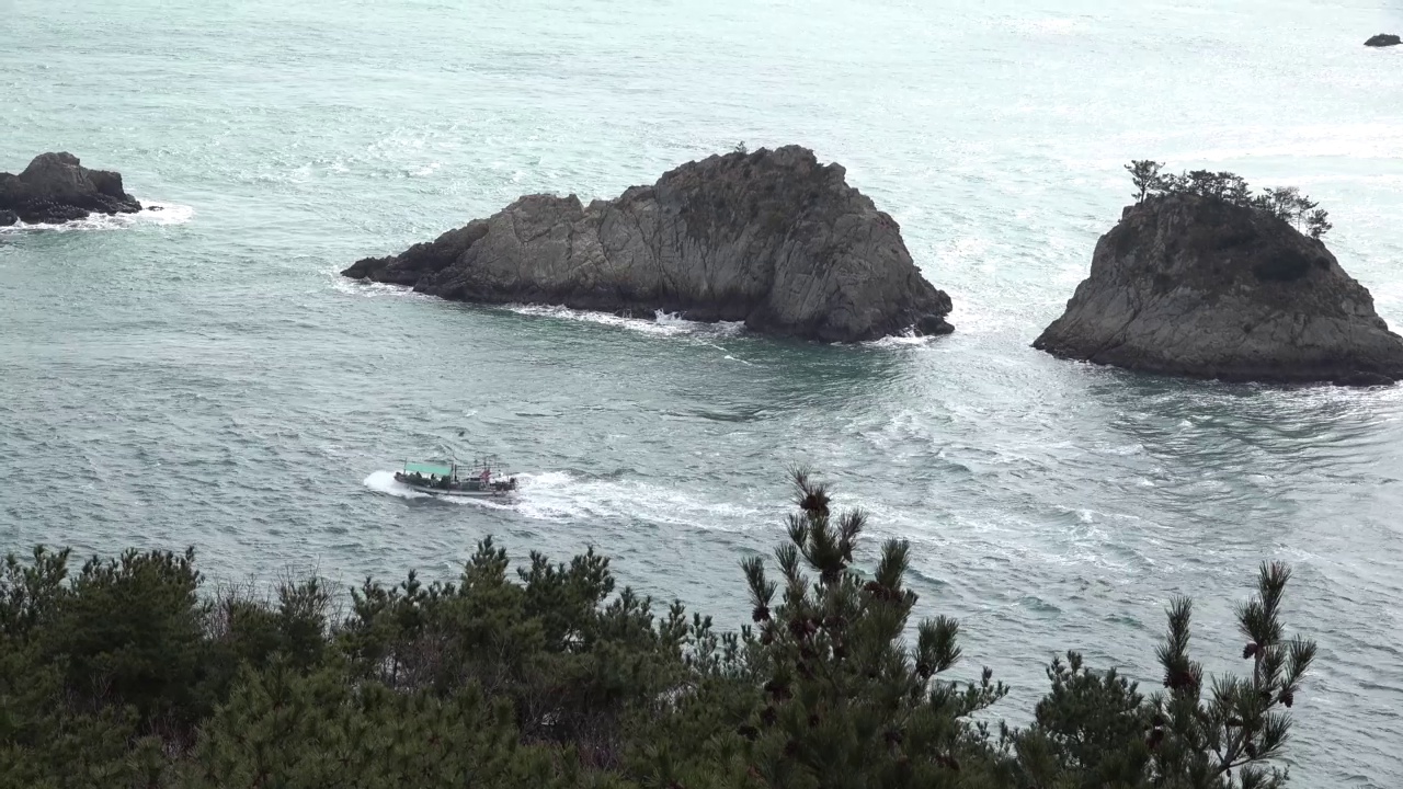 海景视频下载