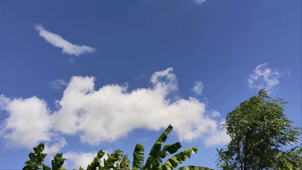 白天4k晴朗的天空，阳光灿烂视频素材