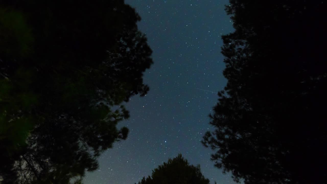 托斯卡纳森林树木之间的星迹视频素材