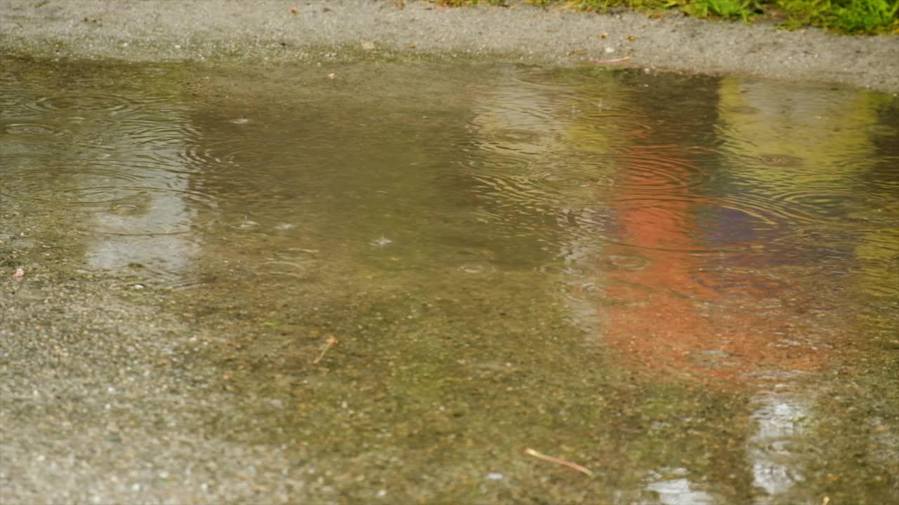 雨水滴入水坑。有选择性的重点。大自然。视频素材