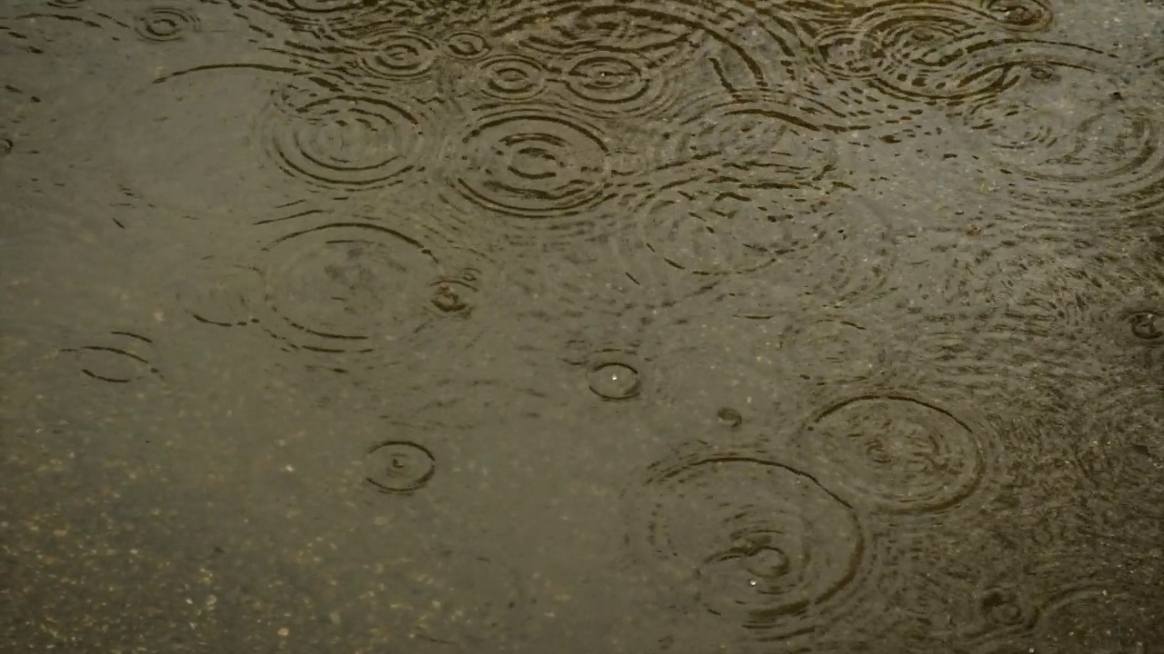 雨水滴入水坑。有选择性的重点。大自然。视频素材