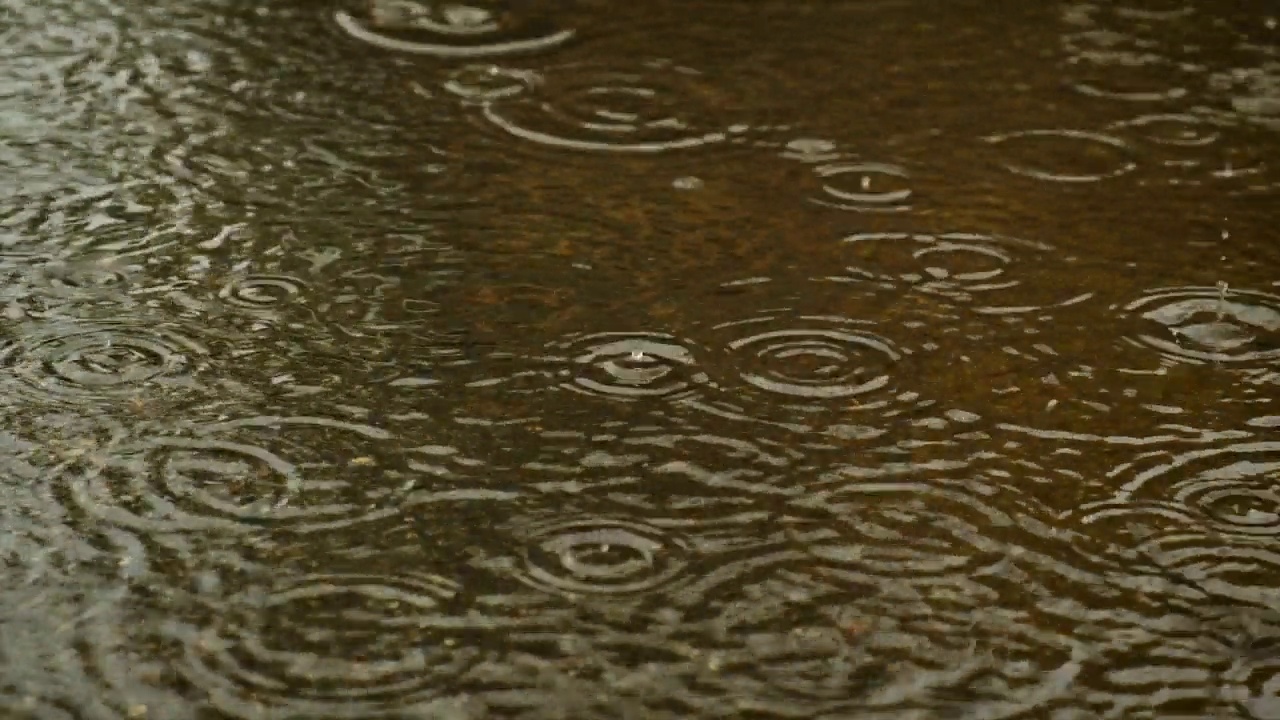 雨水滴入水坑。有选择性的重点。大自然。视频素材