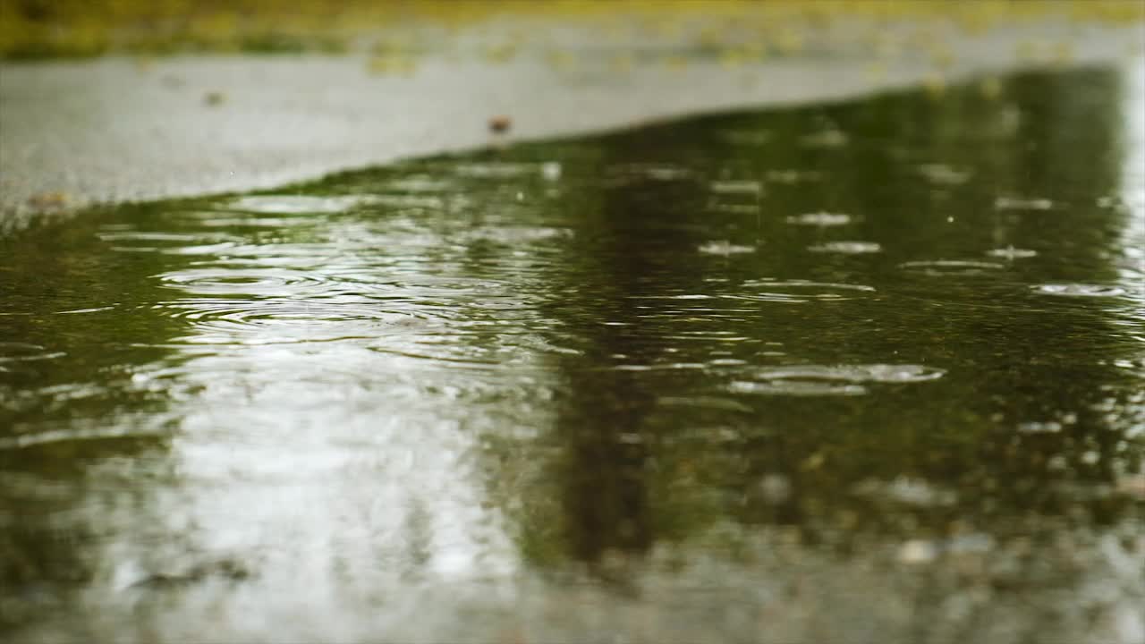 雨水滴入水坑。有选择性的重点。大自然。视频素材