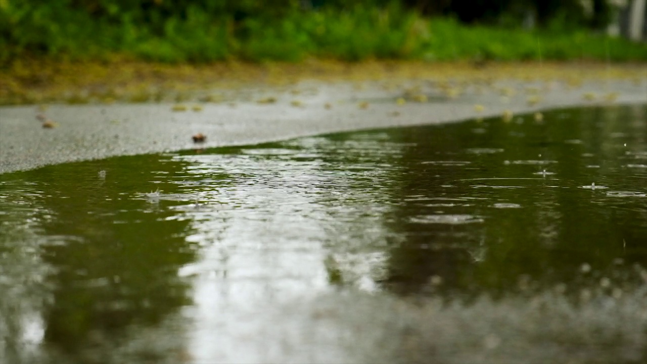 雨水滴入水坑。有选择性的重点。大自然。视频素材