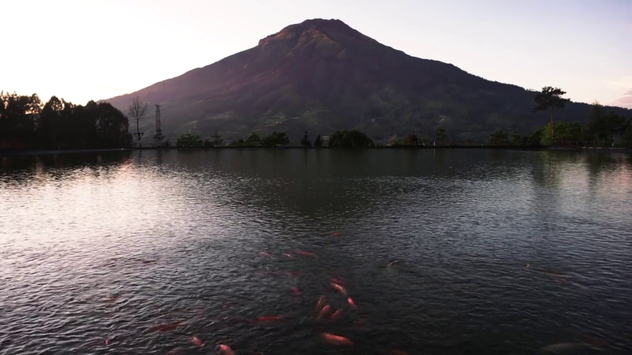 松滨山全景，湖和锦鲤视频素材