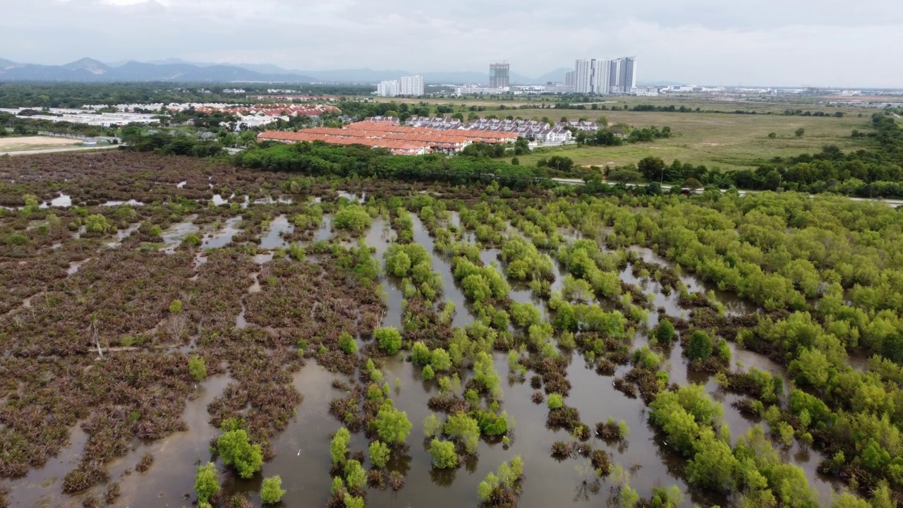 鸟瞰住宅附近湿地的死沼泽视频素材