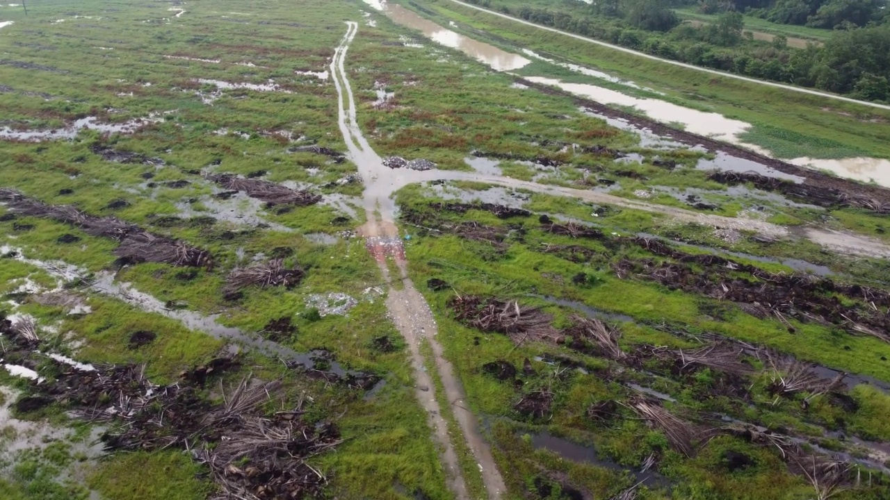 在清理油棕树的道路上的空中移动视频素材