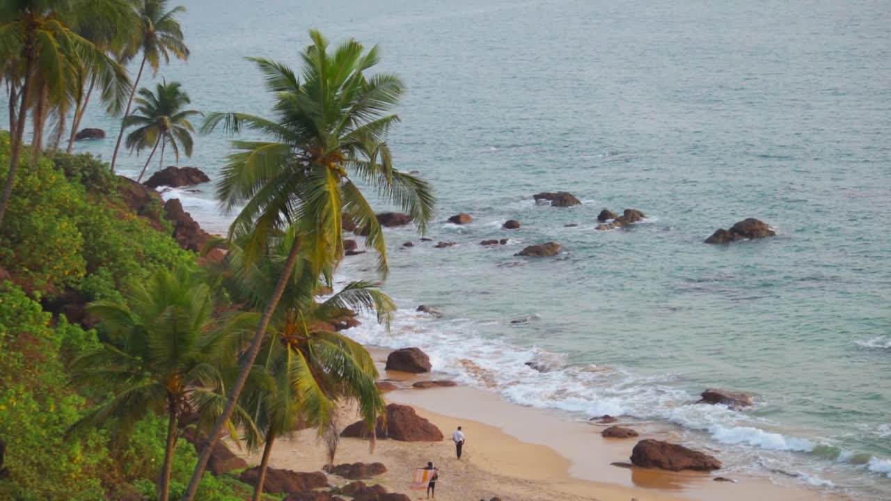 在印度果阿的Cabo De Rama海滩，棕榈树在蓝色的蓝绿色海水前。热带海滩岸边的棕榈树。自然背景。海边有棕榈树。视频素材