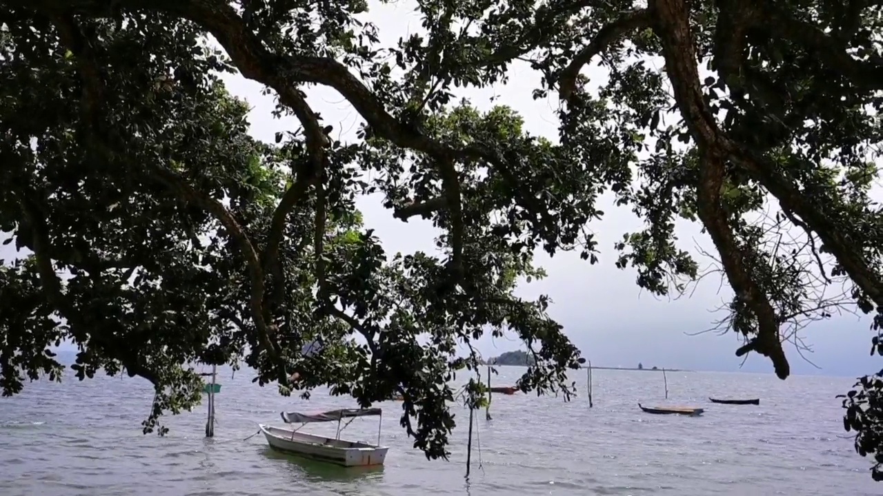 晴天的海滩和海景视频素材