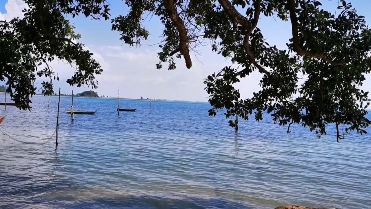 晴天的海滩和海景视频素材