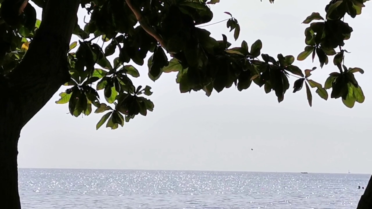 晴天的海滩和海景视频素材