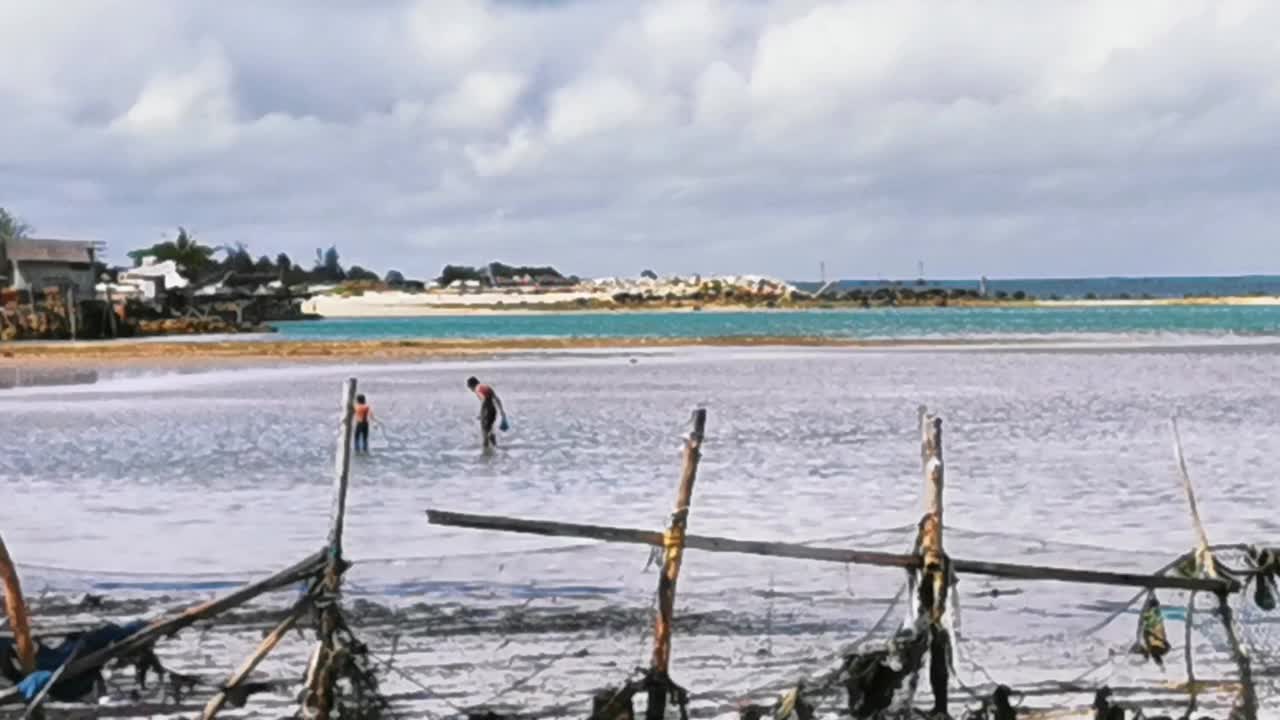 阳光明媚的海滩和海景，孩子们寻找蛤蜊和螃蟹视频素材