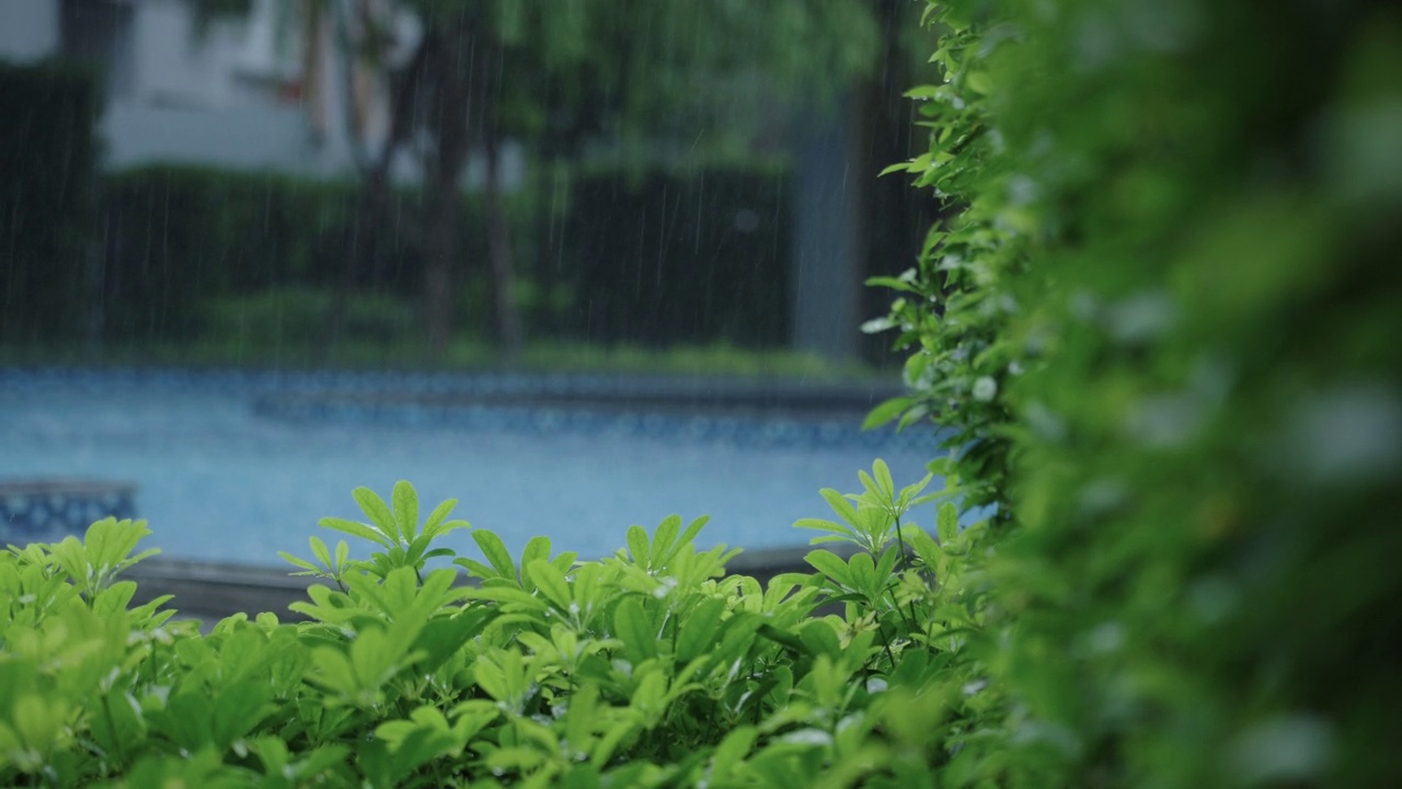 美丽的雨滴和绿色植物的三角架镜头，在家里或热带度假村的游泳池的背景视频素材