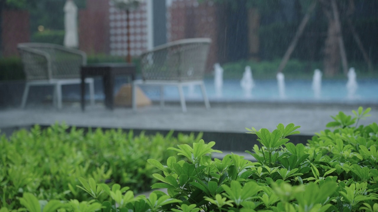 美丽的雨滴和绿色植物的三角架镜头，背景是公寓或度假村的游泳池视频素材