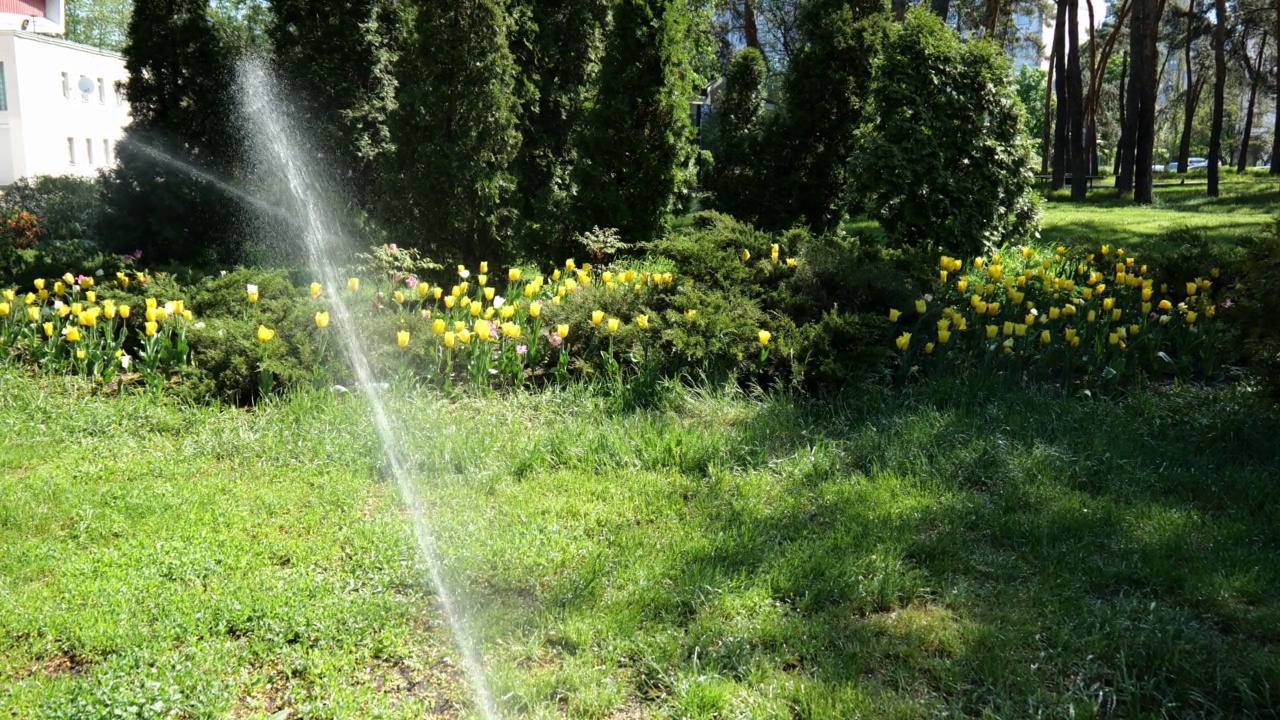 一股水流在城市公园里浇草浇花。夏天的水。慢动作的水。浇水视频素材