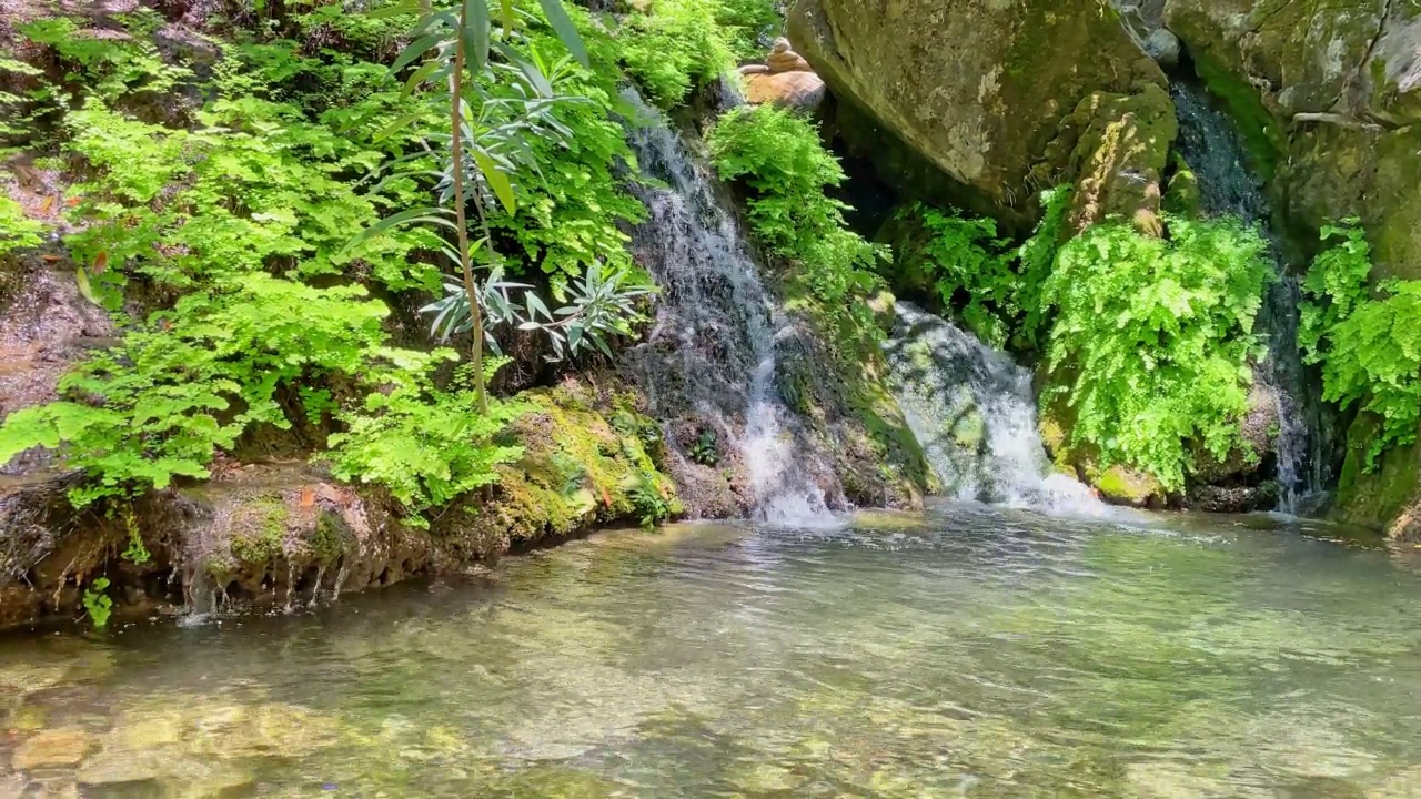 森林中的水源视频素材