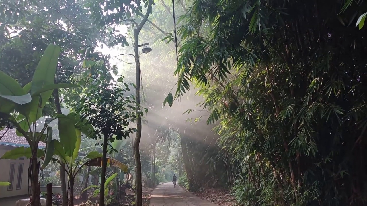 的光芒视频素材