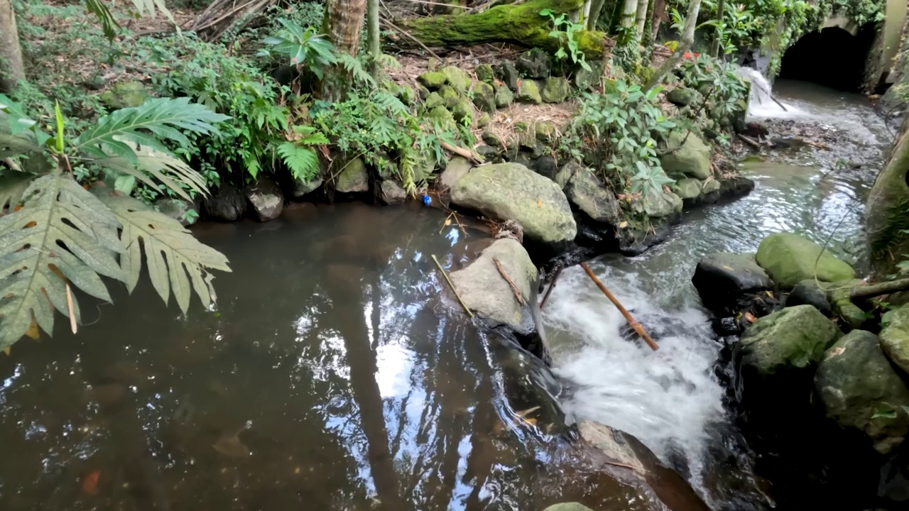 一条流过农村地区的小河，它的水用来灌溉稻田视频素材