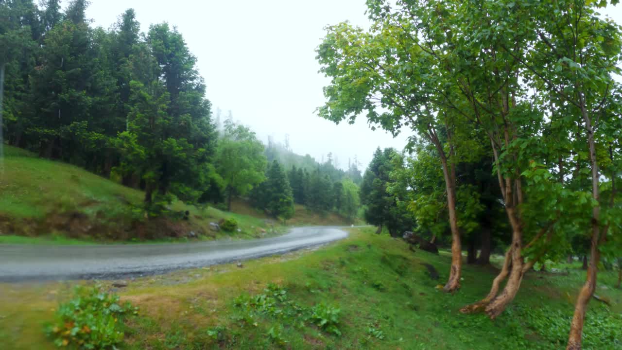 印度喜马偕尔邦马纳利山区暴雨后雨季潮湿山路的4K视频。空旷的道路两旁长满了绿树。视频素材