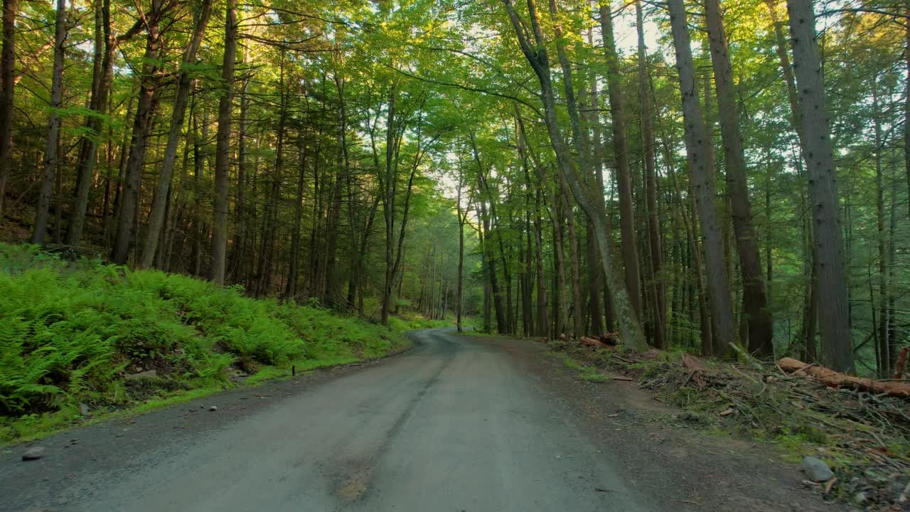 夏天穿过偏僻森林的废弃道路视频素材