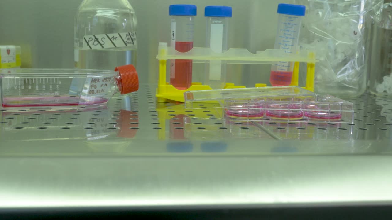 将样品放入科学实验室的溶液中视频素材