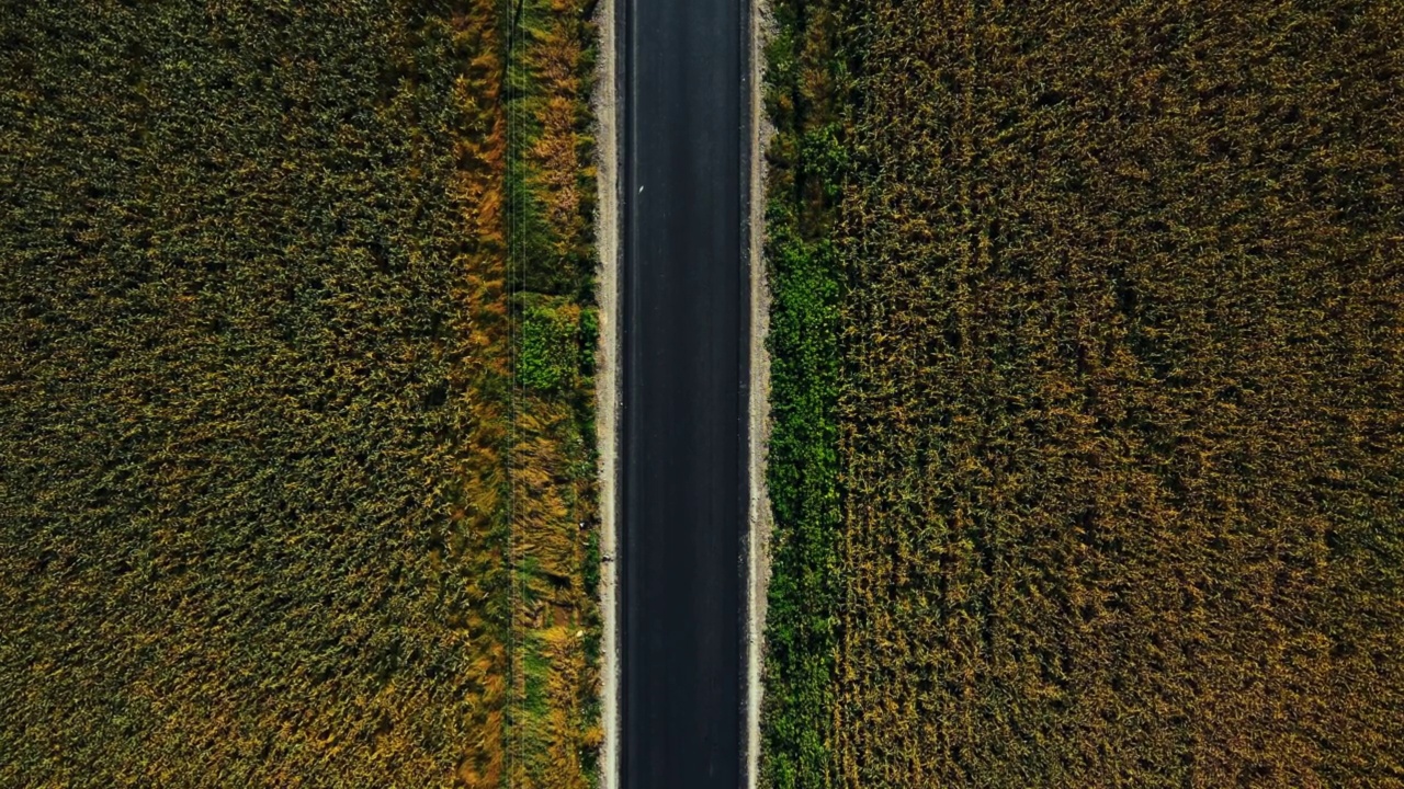 绿色的田野和白色的汽车在柏油路上行驶。在乡村道路上行驶视频素材