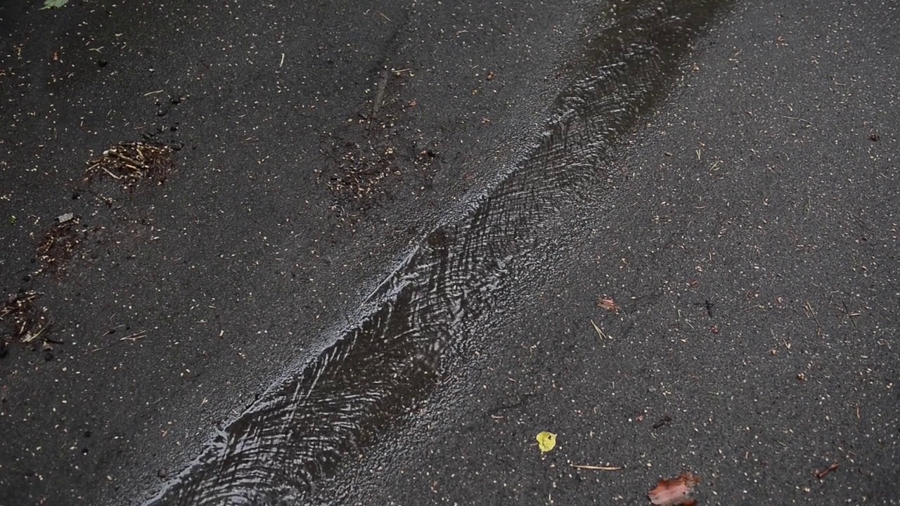 雨后的小溪流在柏油路上视频素材