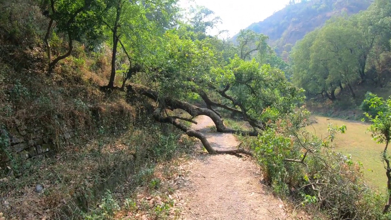 在北阿坎德邦的一条山路上徒步旅行视频素材