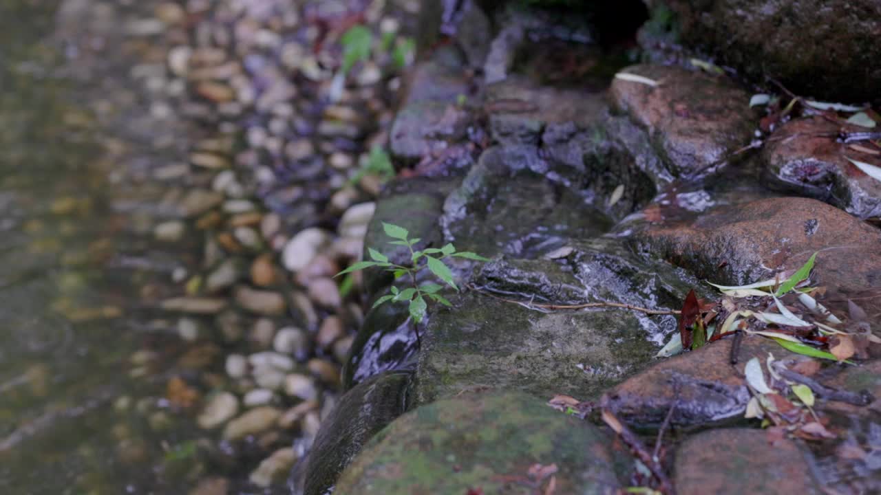 岩石上的流水视频素材