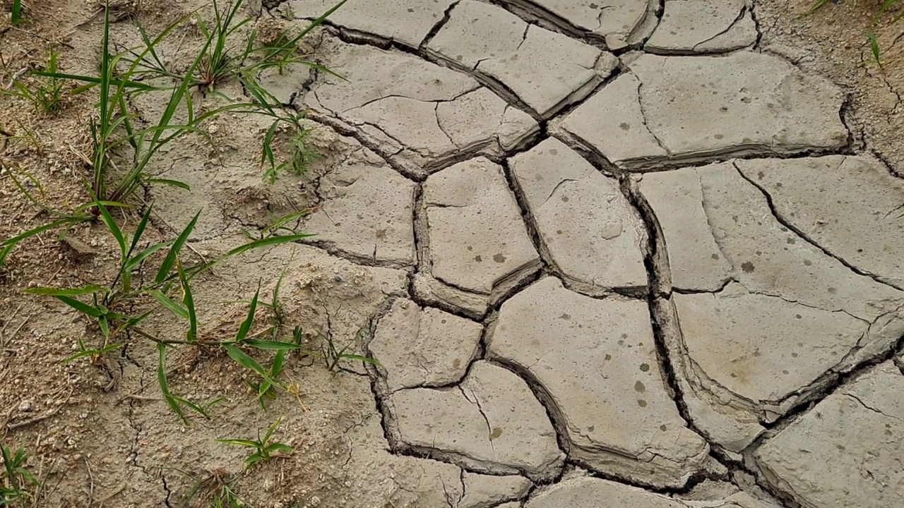 在干旱的时候在龟裂的土地上下雨视频素材