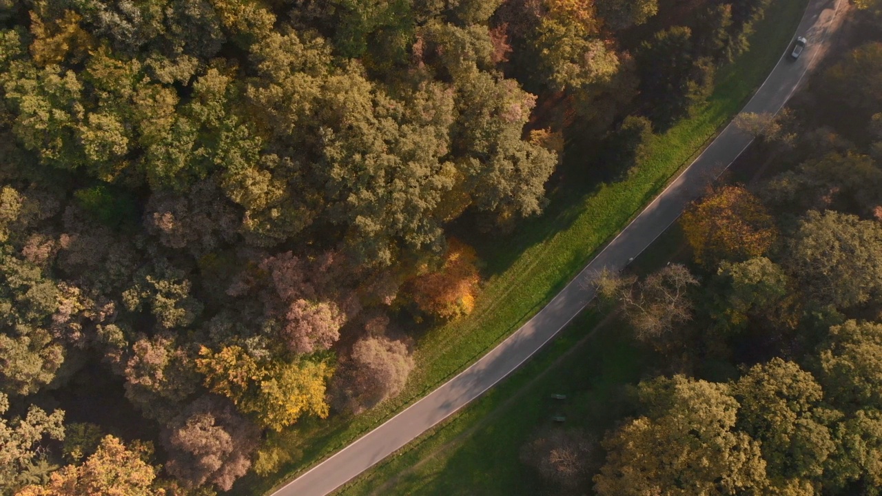 秋天森林中蜿蜒的公路鸟瞰图视频素材