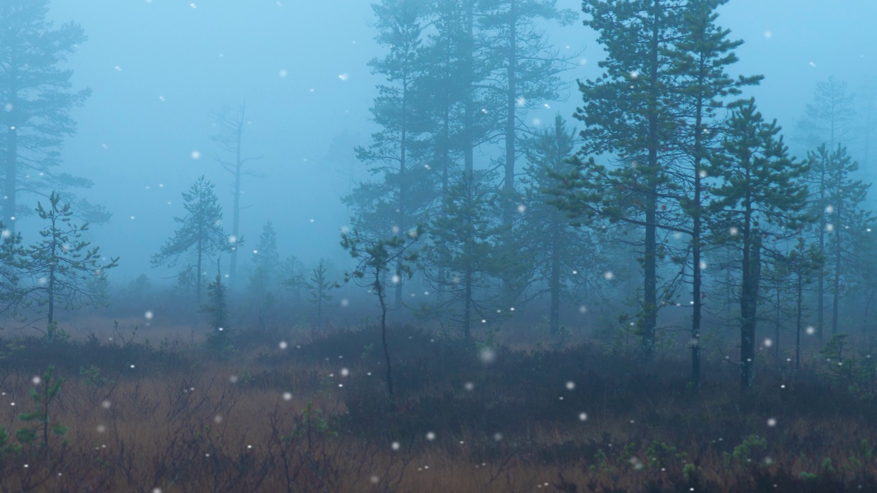 下雪的斯堪的纳维亚沼泽地视频素材