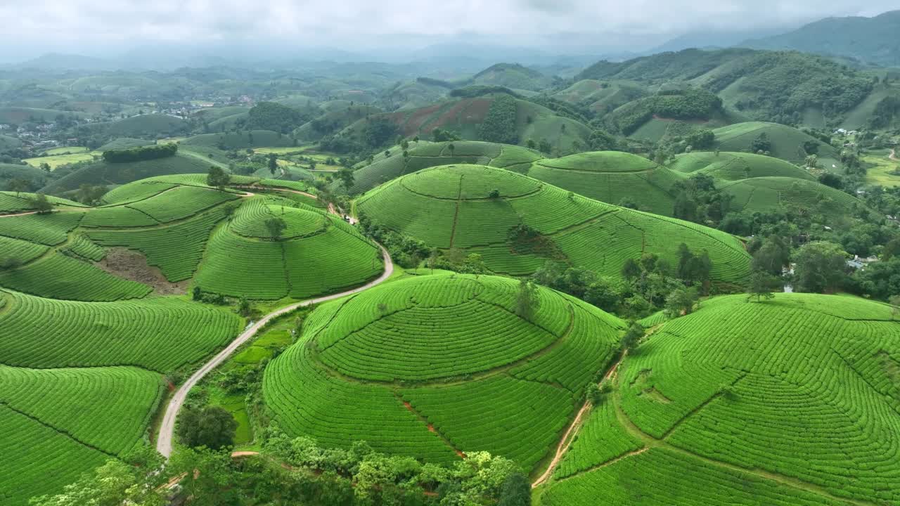 在越南北部的富寿省龙寇克(Long Coc)，在山上的茶园梯田上飞行的无人机镜头视频素材