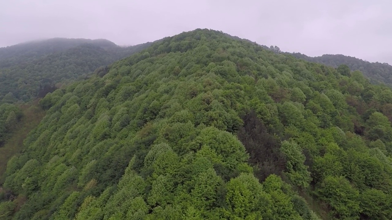 空中湖泊和森林视频素材