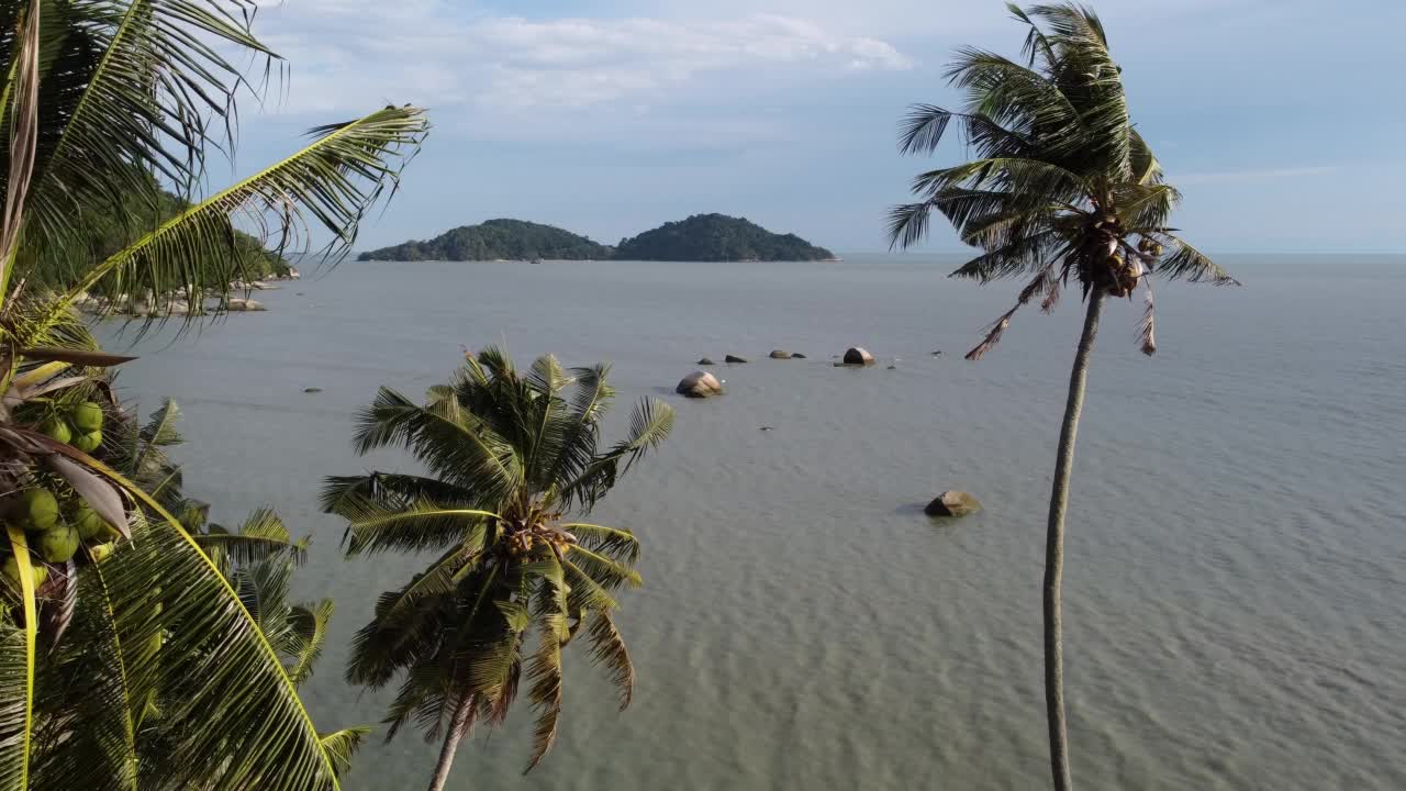 穿过椰子树飞向大海视频素材