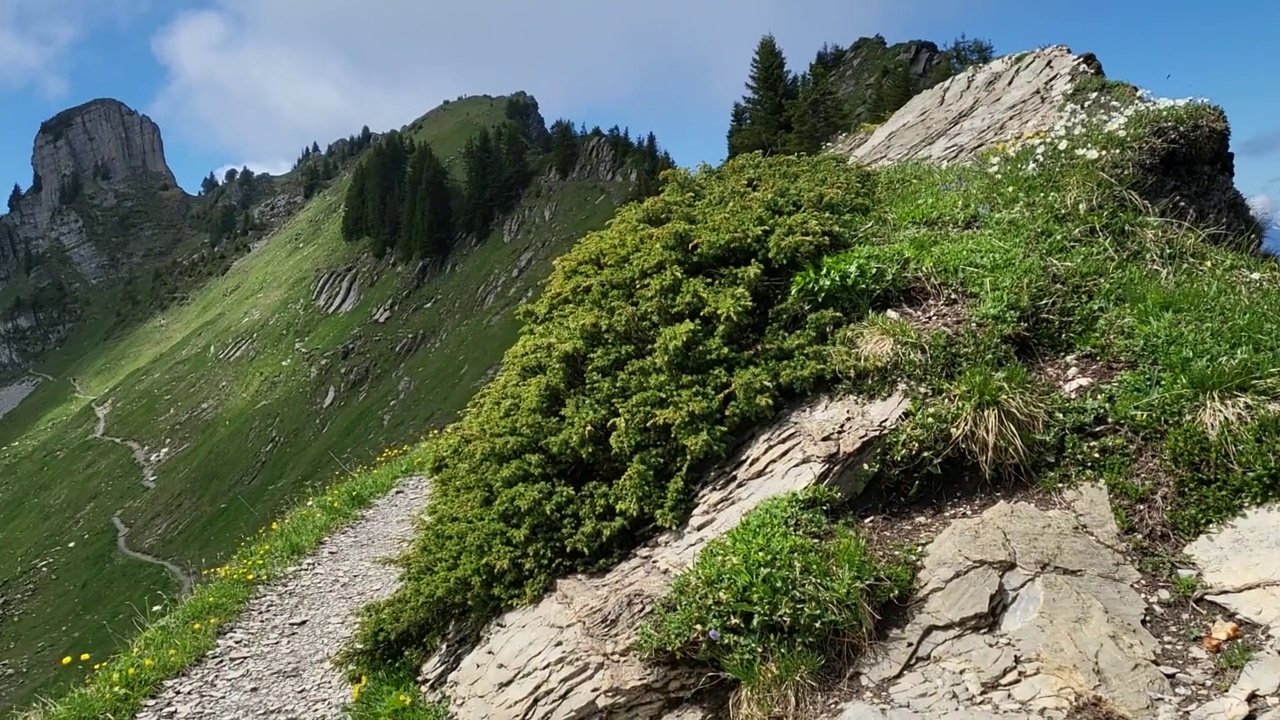 Schynige Platte的全景小径上壮观的夏季景色。视频素材