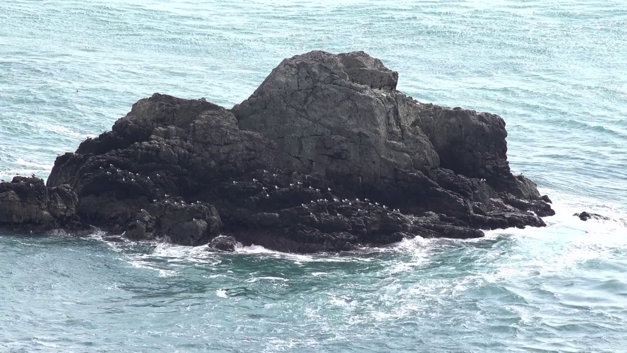 海景视频下载