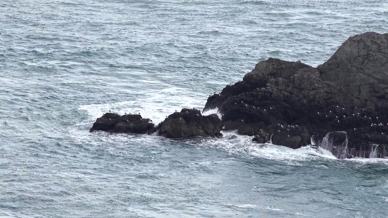 海景视频下载