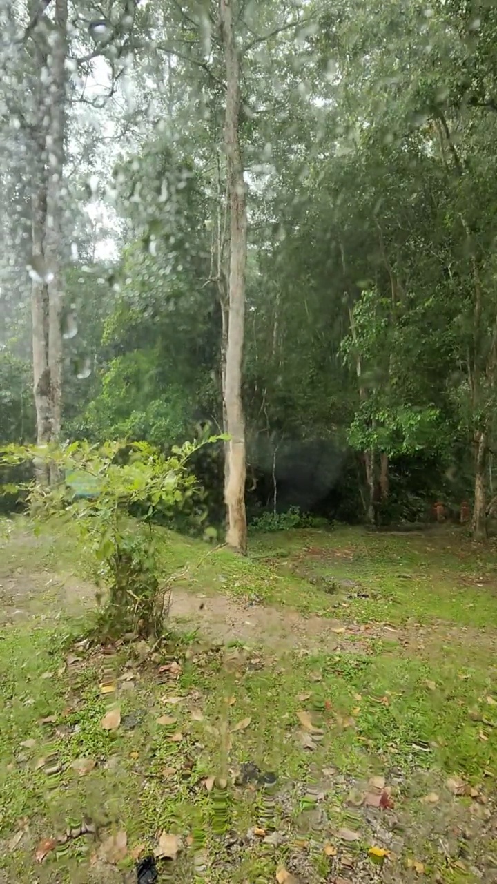 恶劣的天气视频素材