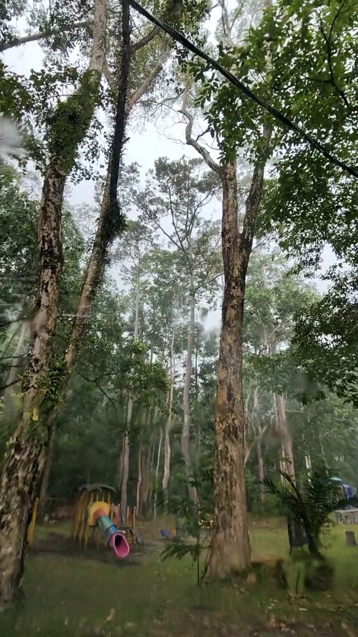 恶劣的天气视频素材