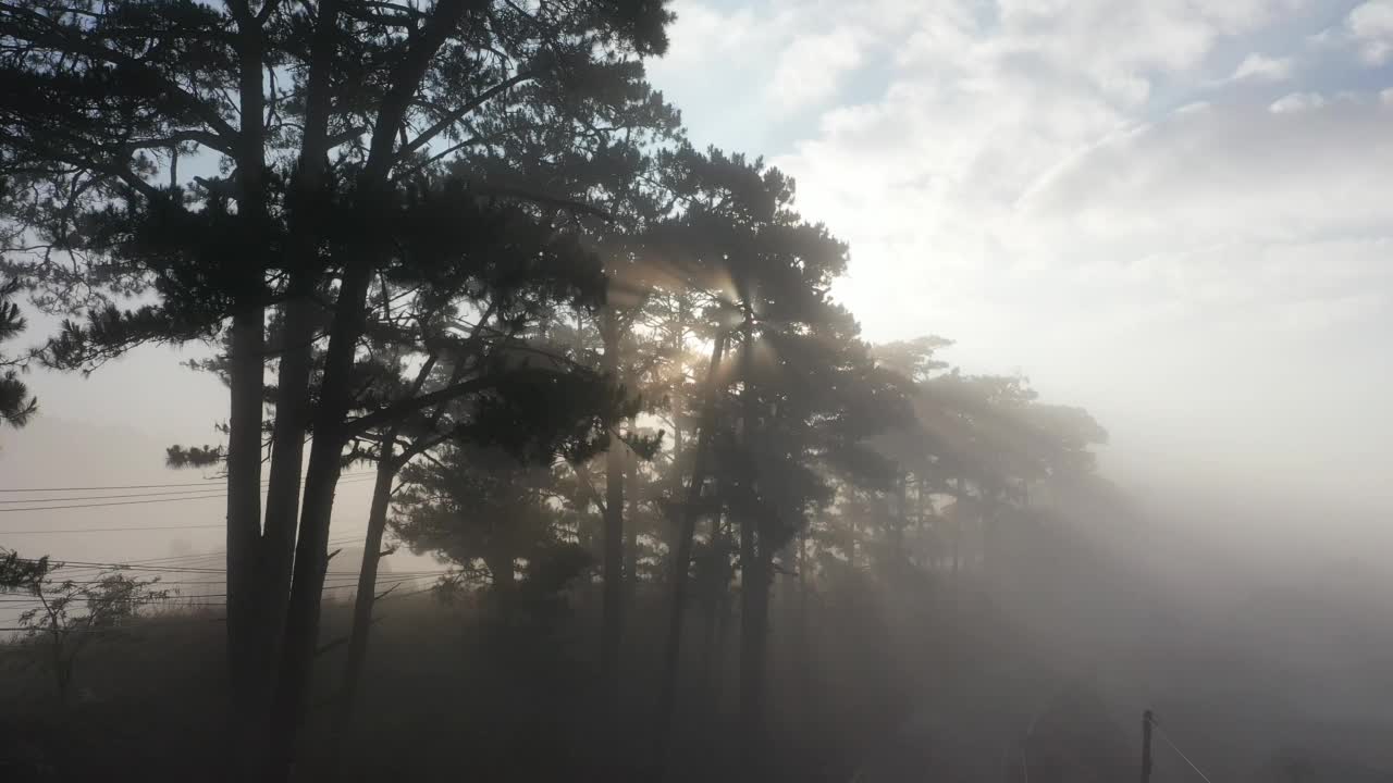 在日出视频素材