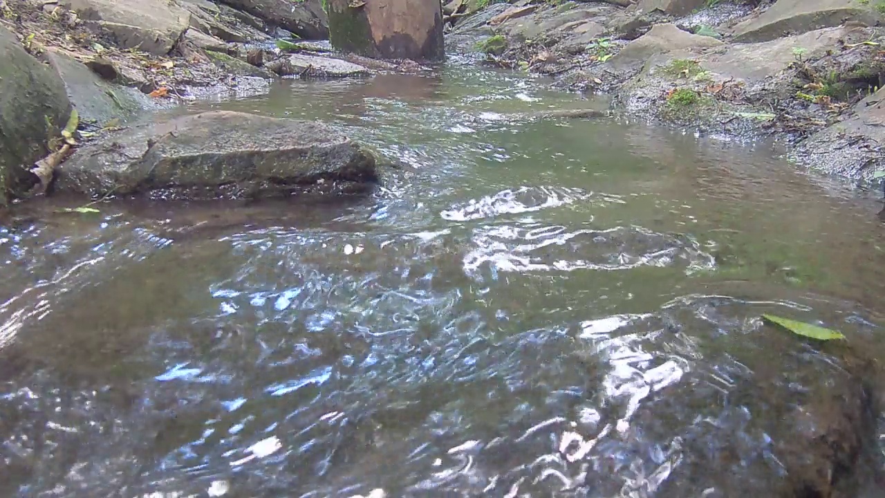 高山流水视频素材