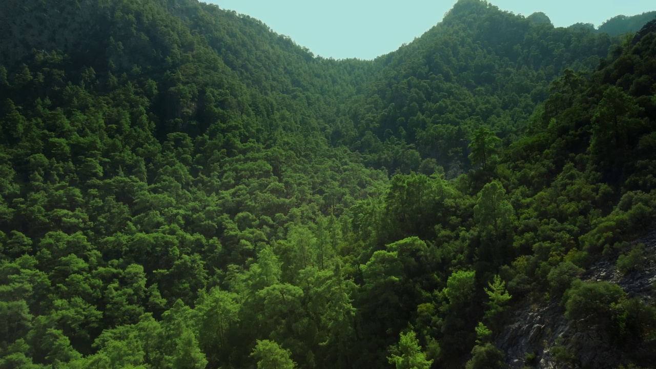 无人机拍摄的夏日绿树覆盖的高山视频素材