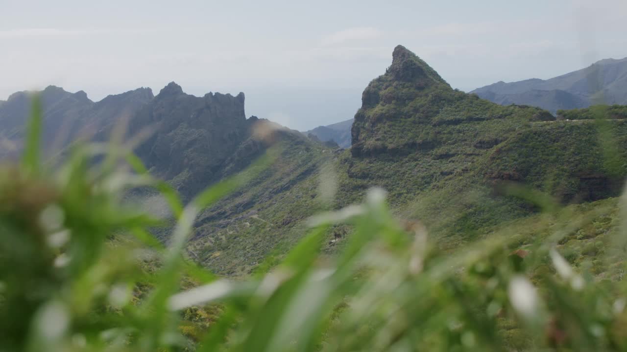 马斯卡山谷与绿色的叶子在前景。西班牙特内里费,加那利群岛视频素材